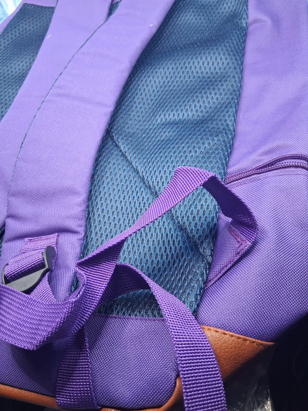 Purple Backpack with Brown Trim and Skate Graphic